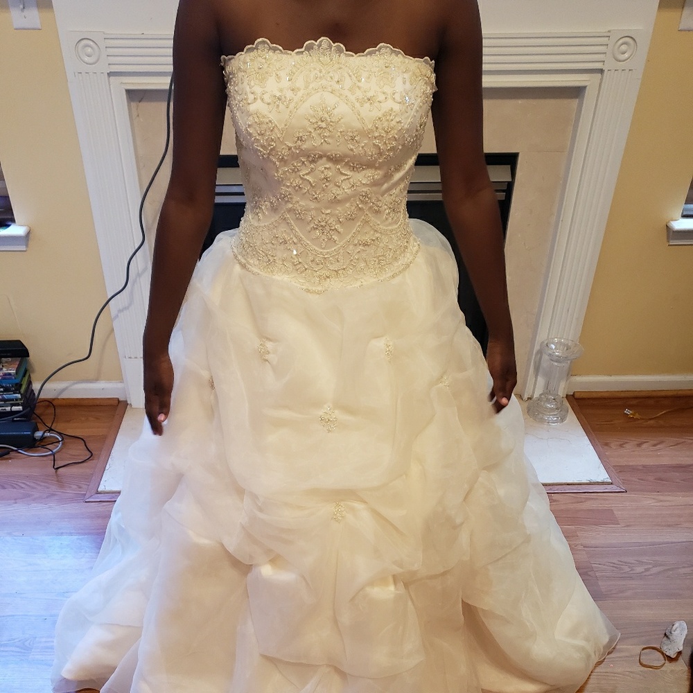 Wedding/Quinceanera Dress